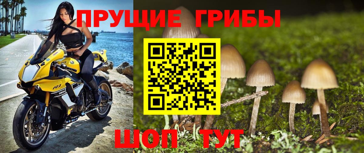 Псилоцибиновые грибы прущие грибы Знаменск