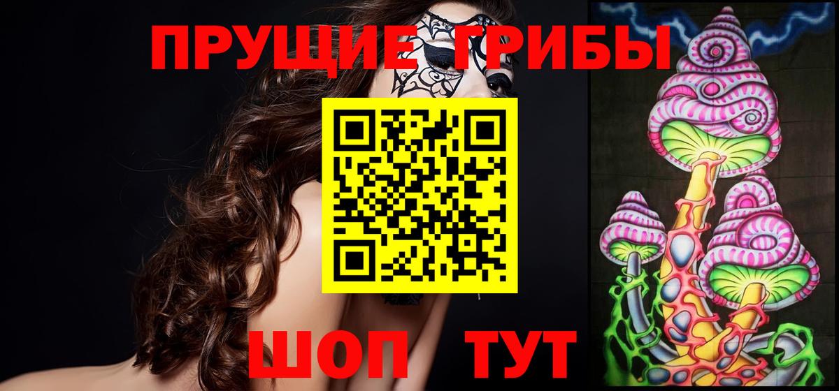 где купить   Галлюциногенные грибы MAGIC MUSHROOMS  Вход с VPN  Галлюциногенные грибы GOLDEN TEACHER  Знаменск 